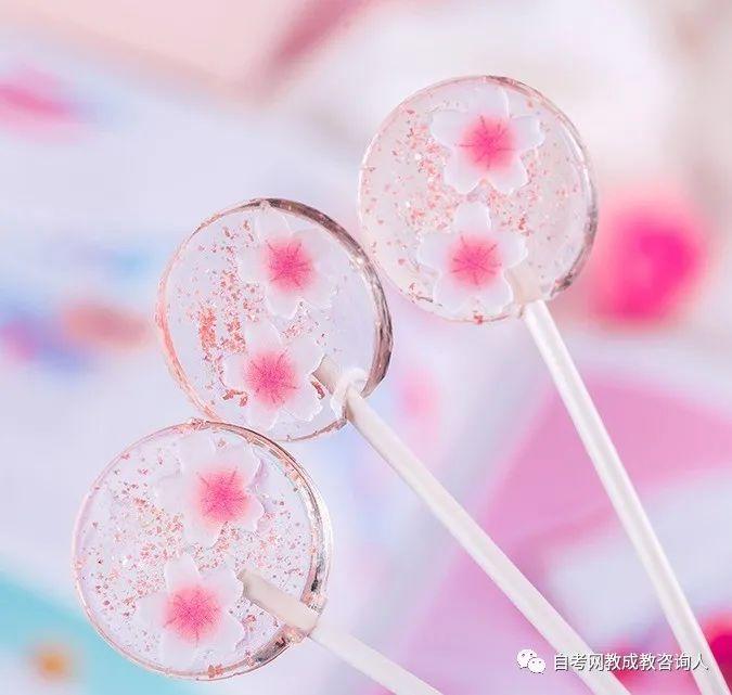 自考樱花季,你知道吗? 自考樱花季,你知道吗?