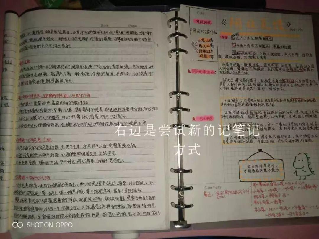 这个00后逆天小姑娘，又来分享自考经验了